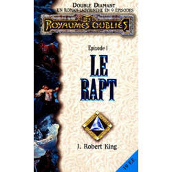 Double Diamant Tome 1 : Le Rapt