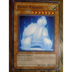 Esprit Radieux STON-FR029 Yu-Gi-Oh