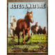 Bêtes et nature n82 Février 1971 Poneys new forest