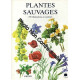 Plantes sauvages