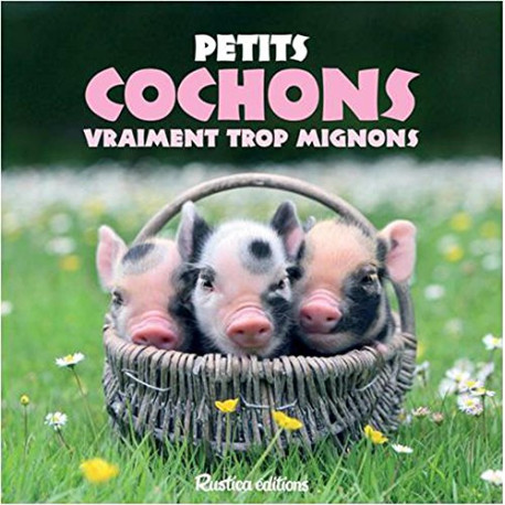 Petits cochons vraiment trop mignons
