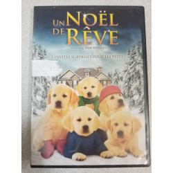 DVD Film - Un Noël de rêve