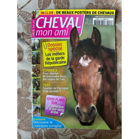 Cheval mon ami n°8