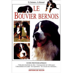 Le Bouvier bernois