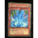 Torrential Tribute SD2-EN025 Yu-Gi-Oh