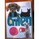 Votre chien