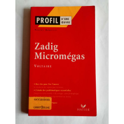 Pascal debailly Zadig Micromégas Profil d'une oeuvre hatier