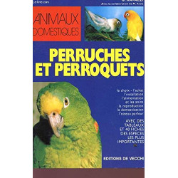 Perruches et perroquets