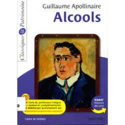 ALCOOLS ( livre du professeur )