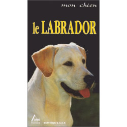 Le labrador