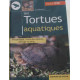 Les tortues aquatiques