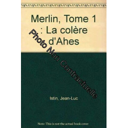 Merlin tome 1 : la colère d'Ahes