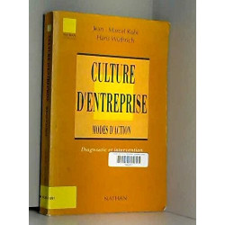 Culture d'entreprise modes d'action : diagnostic et intervention