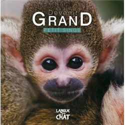 Devenir Grand - Petit Singe