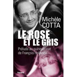 Le Rose et le Gris: Prélude au quinquennat de François Hollande