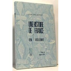 Histoire de France en 1 volume