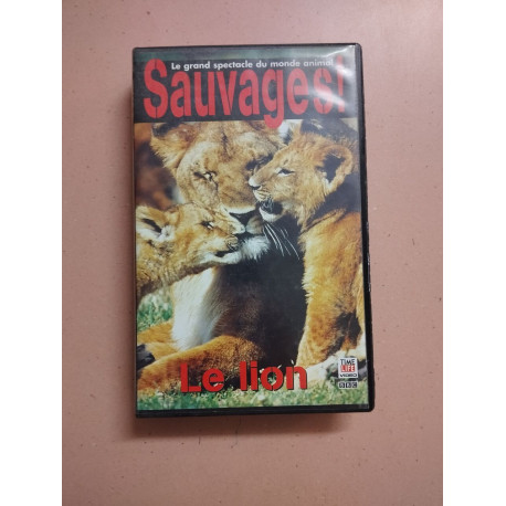 Sauvage le lion