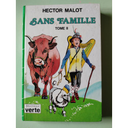 Sans famille tome 2