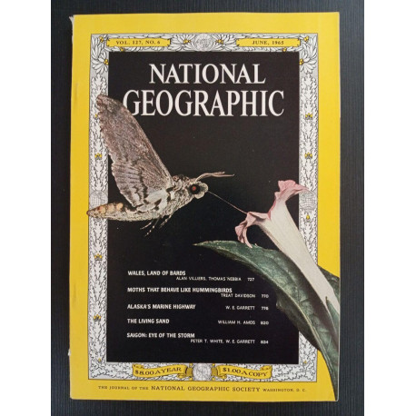 Revue National Geographic (en anglais) Vol 127 N° 6