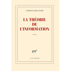 La théorie de l'information