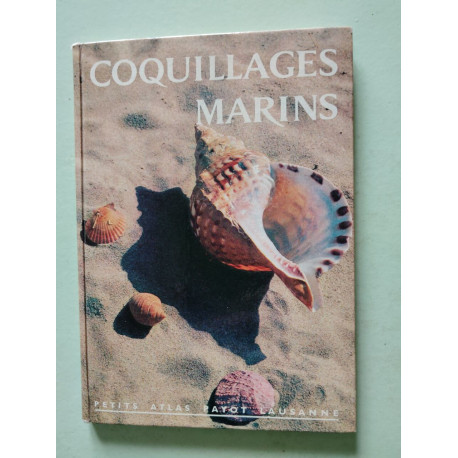 Coquillages marins