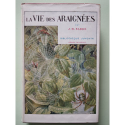 La vie des araignées