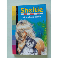 Sheltie et le chien perdu