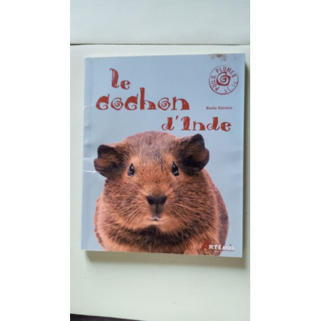 Le cochon d'Inde
