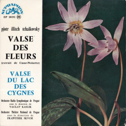 Valse Des Fleurs / Valse Du Lac Des Gygnes