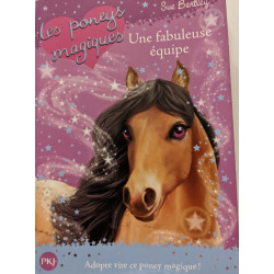 Les poneys magiques - numéro 13 Une fabuleuse équipe (13)